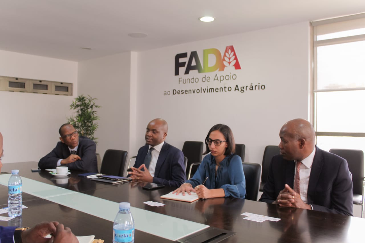 FADA E PAM FADA E PAM