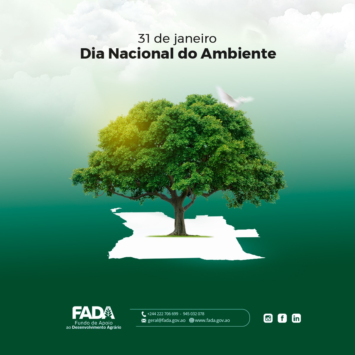 FADA 2024 AMBIENTE